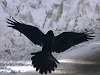 Click here to read July AT 2012