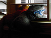 Click here to read August AT 2011