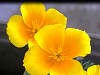 Click here to read November AT 2011